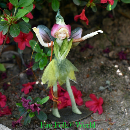 Fae Folk® Fairies - FLICKER