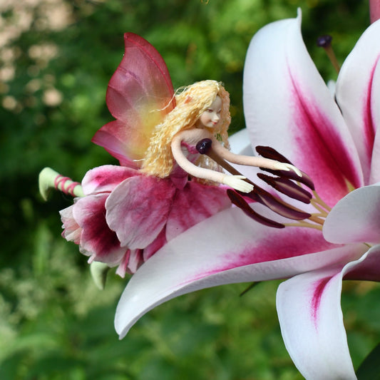 Fae Folk® Fairies - PETALS