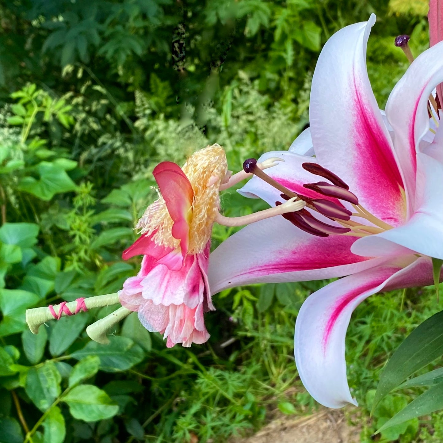 Fae Folk® Fairies - PETALS