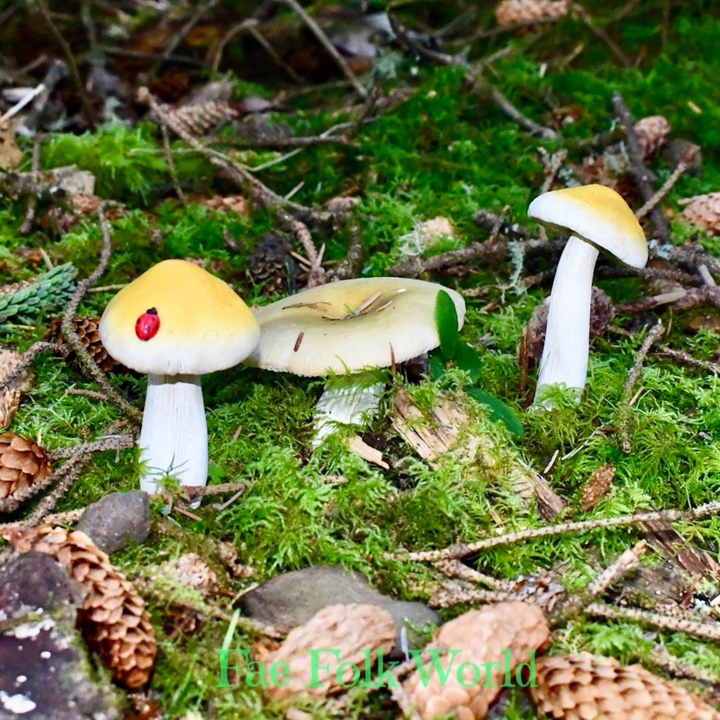 Fairy Garden Yellow Mushroom Set