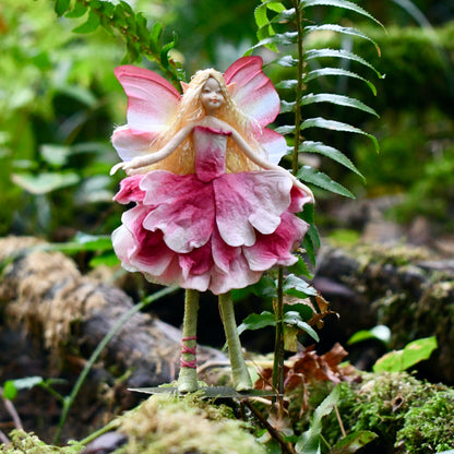 Fae Folk® Fairies - PETALS