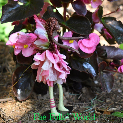 Fae Folk® Fairies - ANEMONE