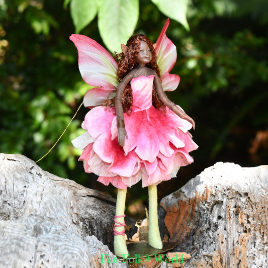 Fae Folk® Fairies - ANEMONE