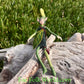 Fae Folk® Fairies - WILLOW