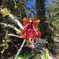 Fae Folk® Fairies - TWILIGHT