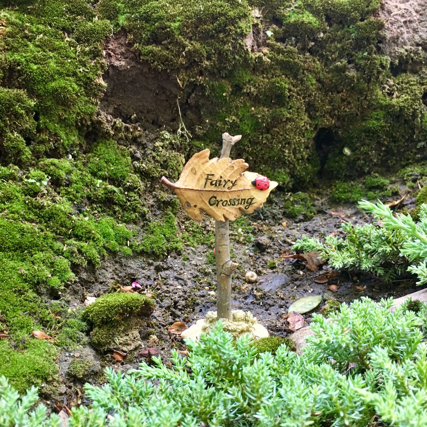 Fairy Sign - Fairy Crossing