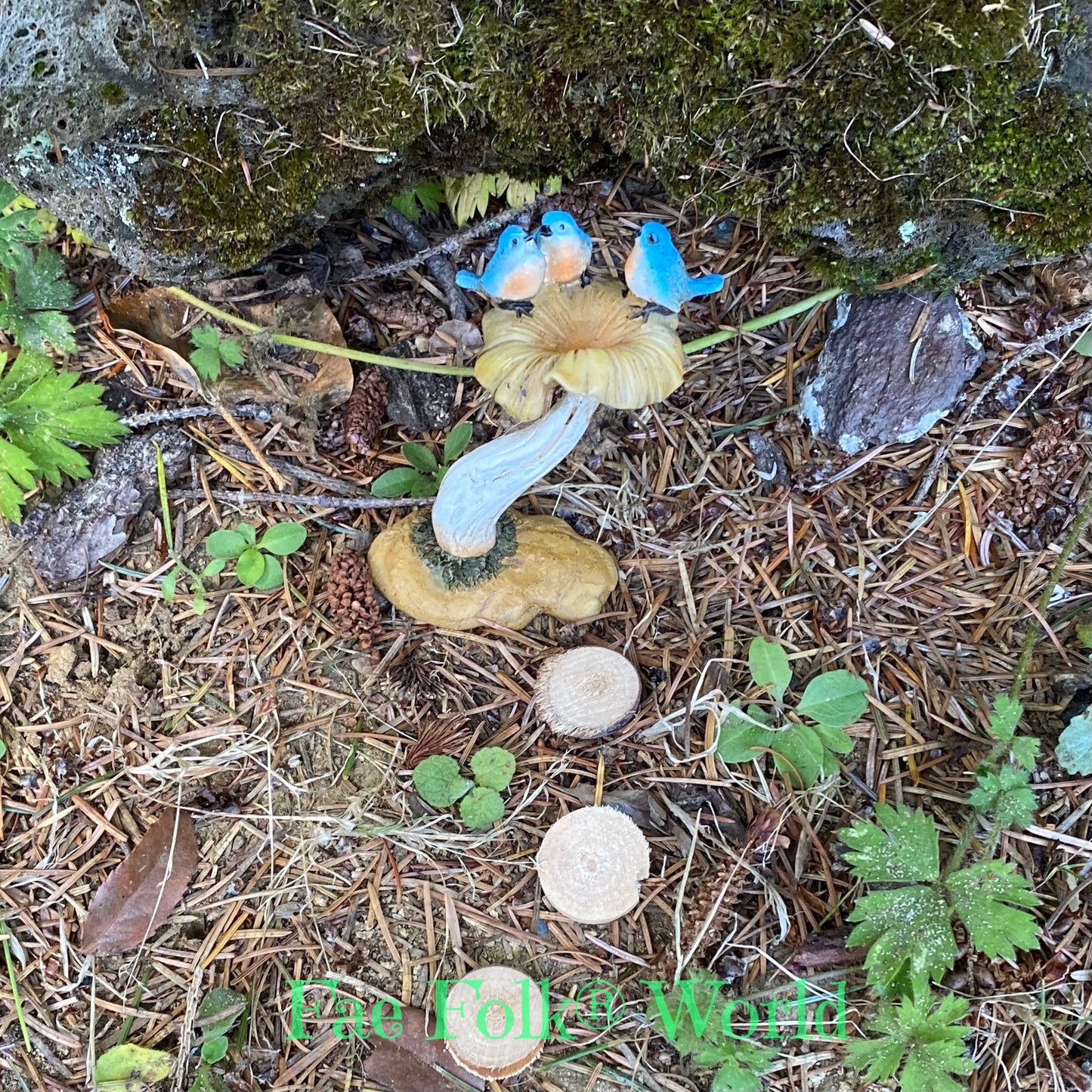 Tiny Mushroom Bird Bath