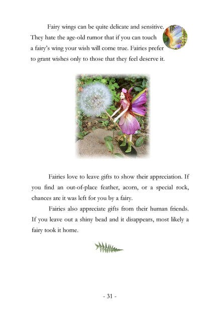 Fairy Book - How to Keep a Fairy