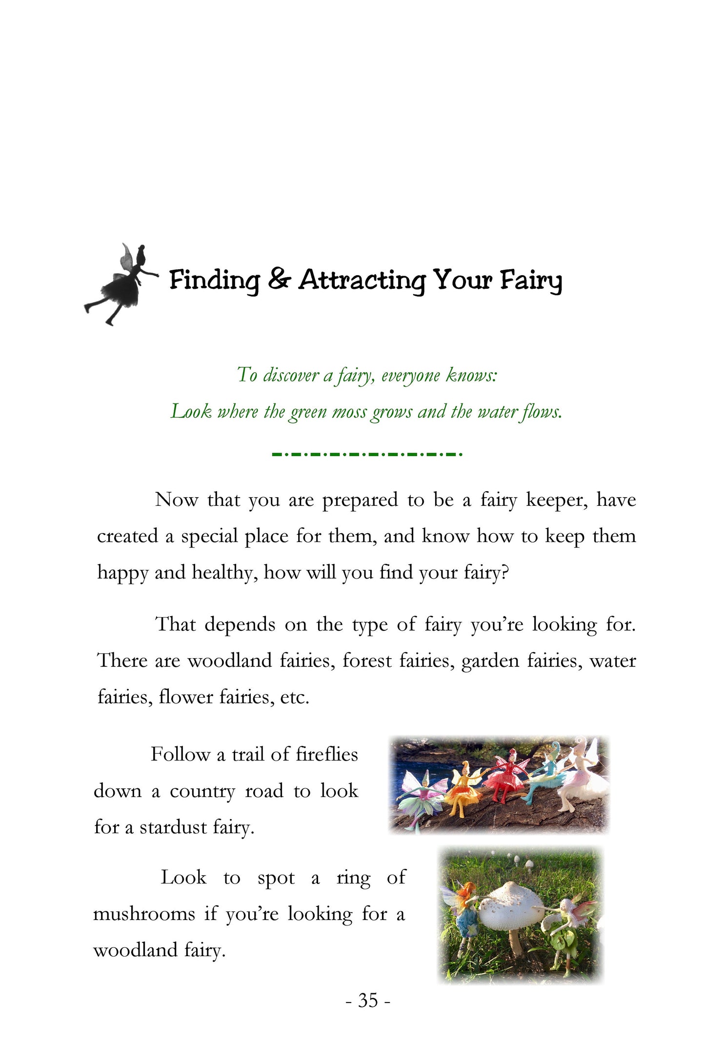 Fairy Book - How to Keep a Fairy